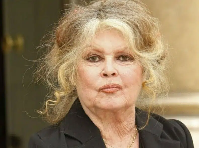 Brigitte Bardot biographie et actus