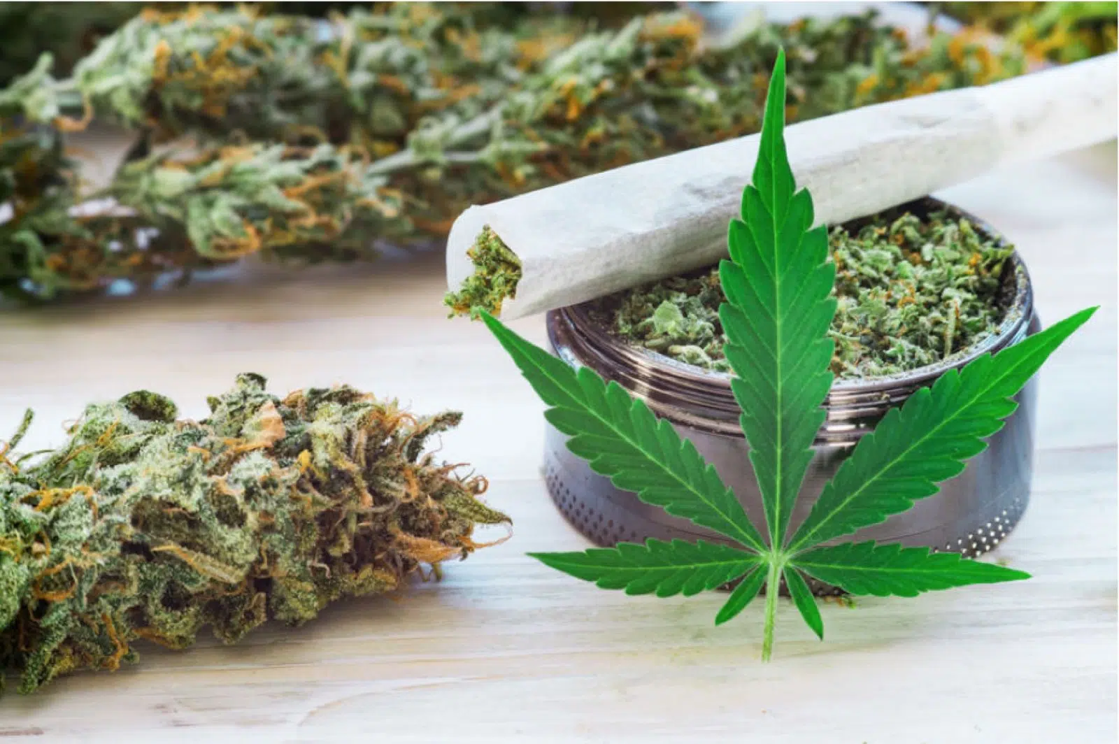 fleurs de CBD