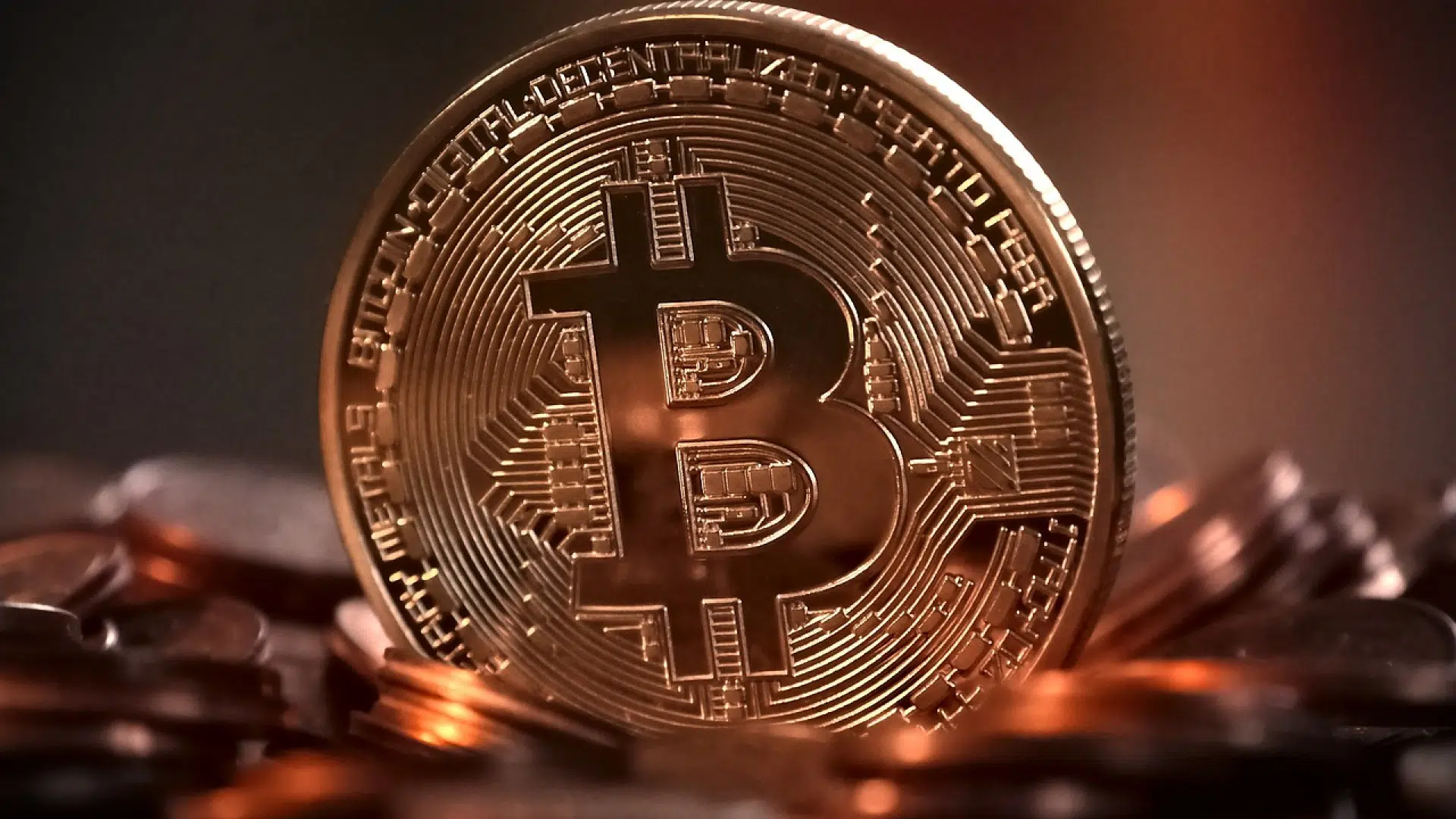 Le Bitcoin connait un vrai succès