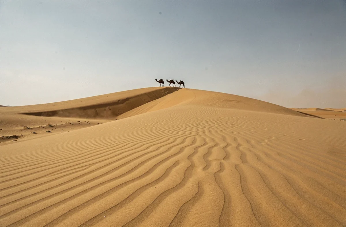 Paysage de dunes du Sahara avec une caravane de chameaux en silhouette à l'horizon